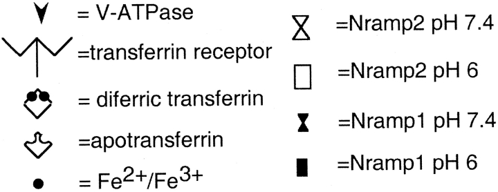 Figure 8