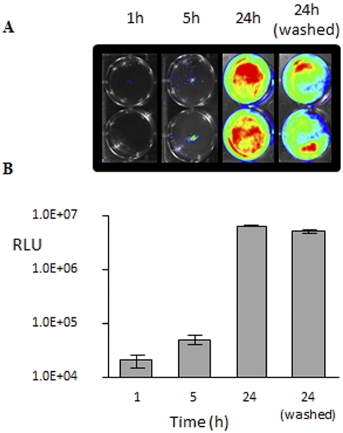 FIG 3 