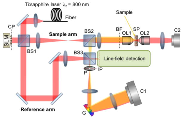 FIG. 1