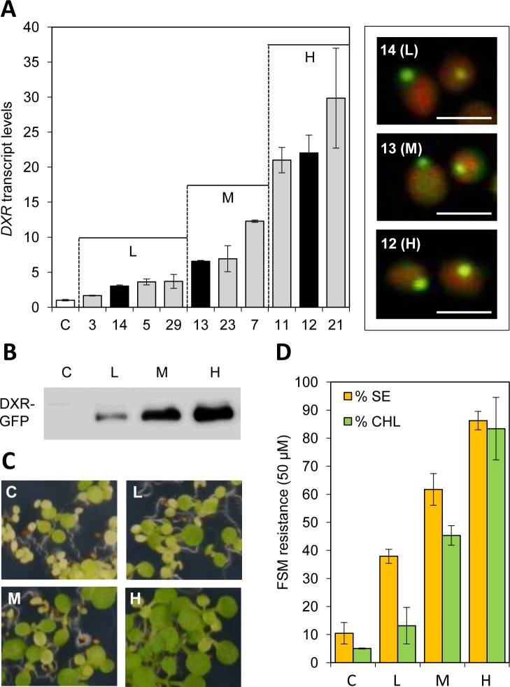 Fig 3