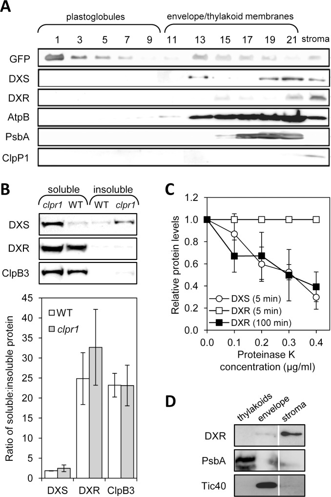 Fig 1