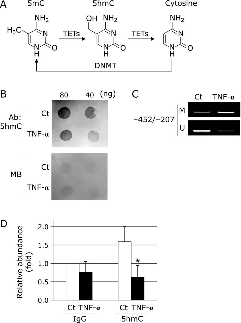 Fig. 2