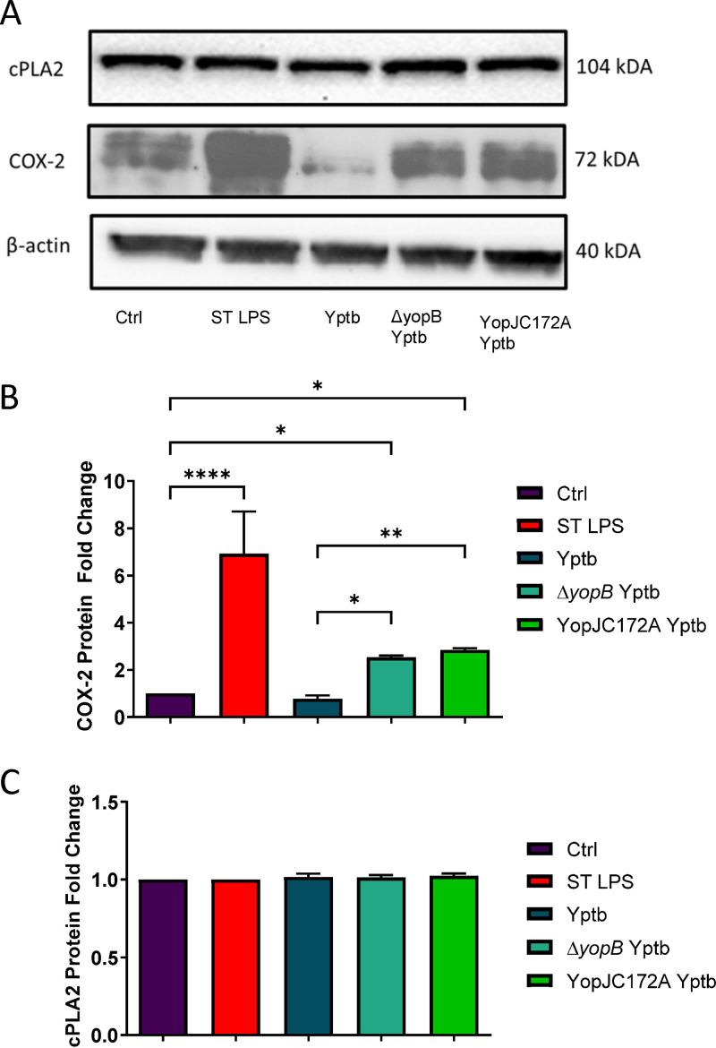 FIG 2