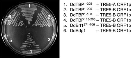 FIG. 7.