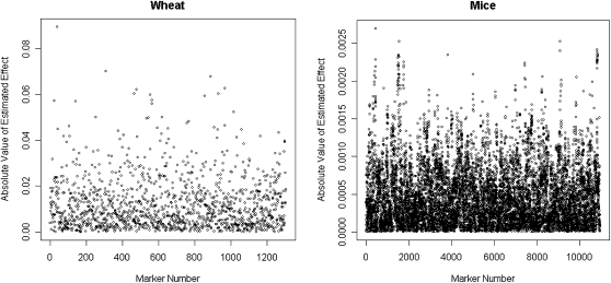 Figure 5.—