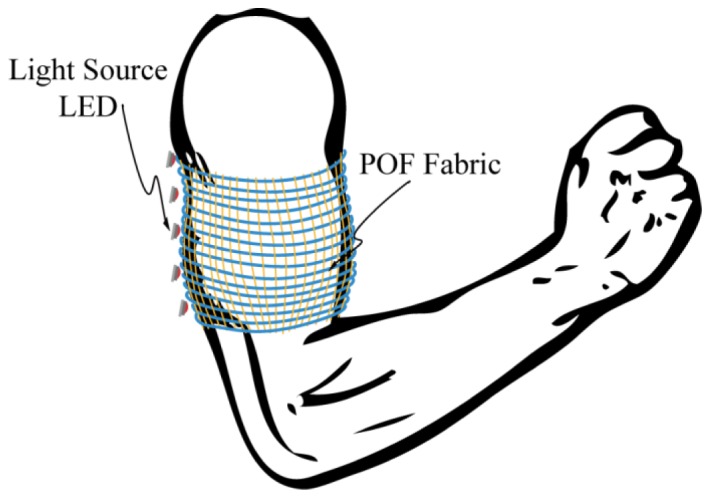 Fig. 8