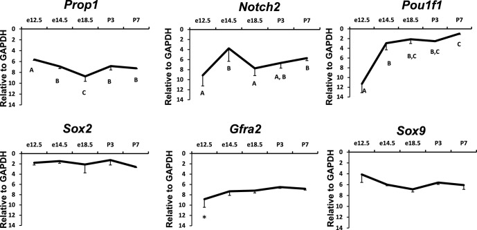 Figure 2—figure supplement 1.