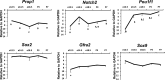 Figure 2—figure supplement 1.
