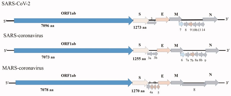 Figure 2.