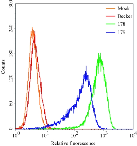 FIG. 2.