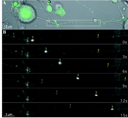 FIG. 3.