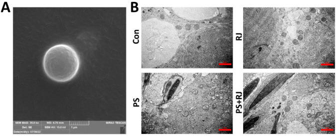 Figure 13