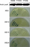 FIGURE 4.