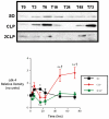 Fig 5