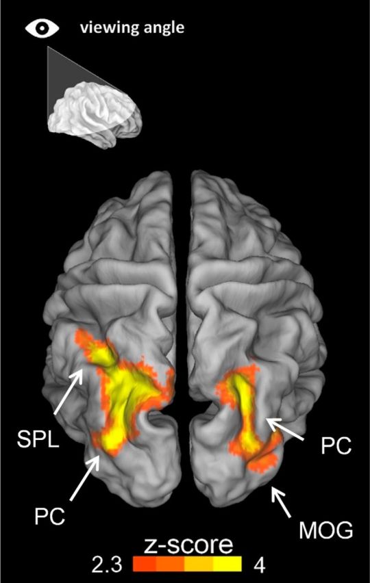 Figure 7.