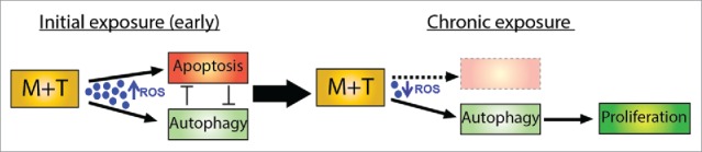 Figure 10.