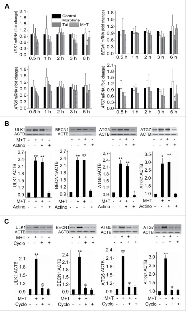 Figure 4.