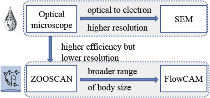 Fig. 2