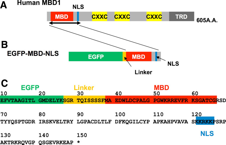 Fig. 1