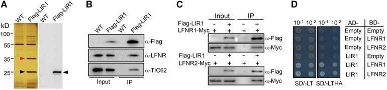 Figure 3.