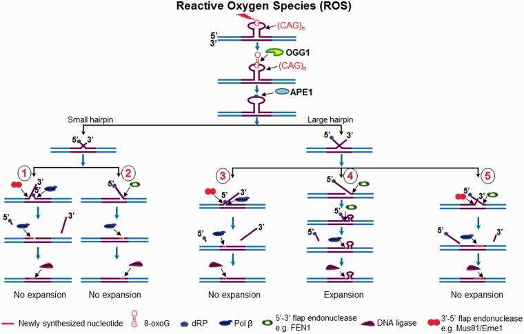 Figure 7.