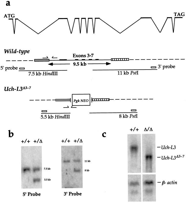 FIG. 5