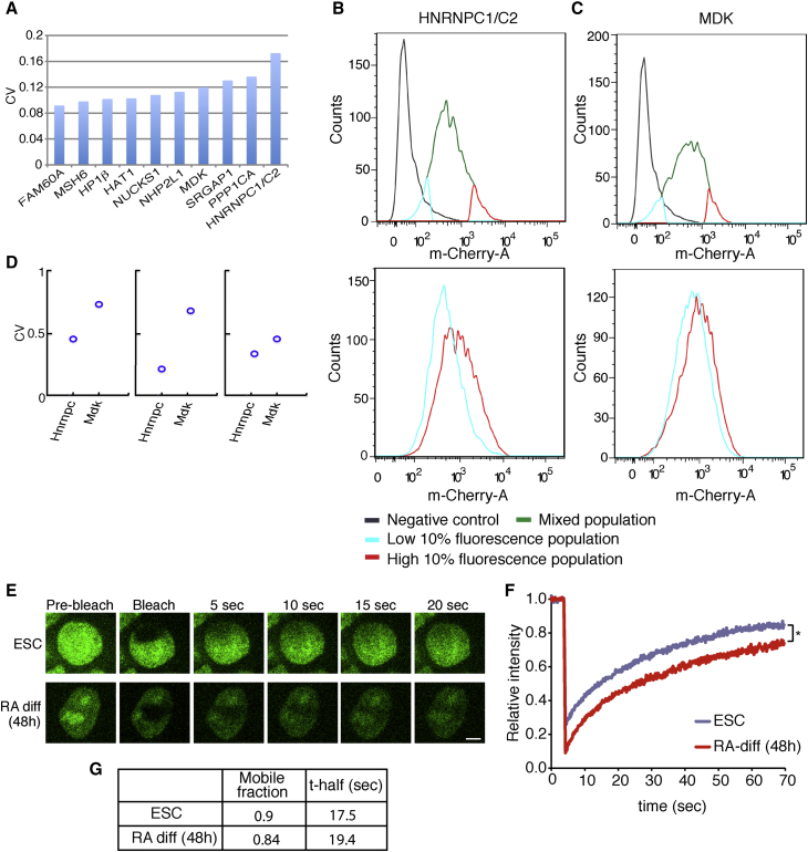 Figure 3