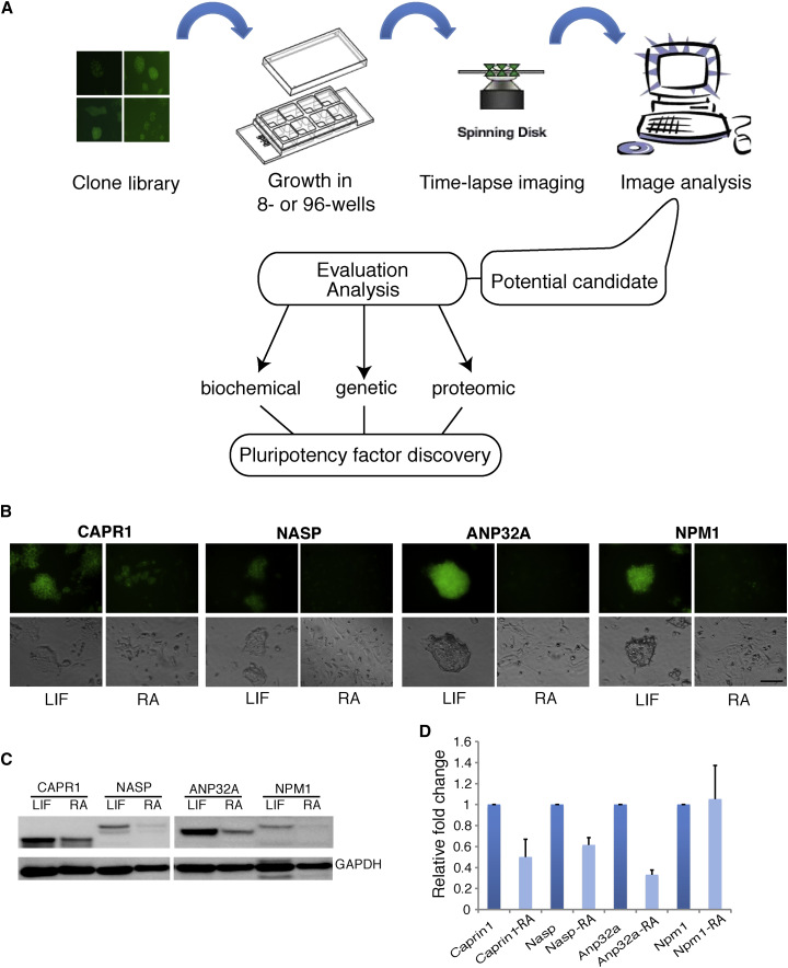 Figure 2