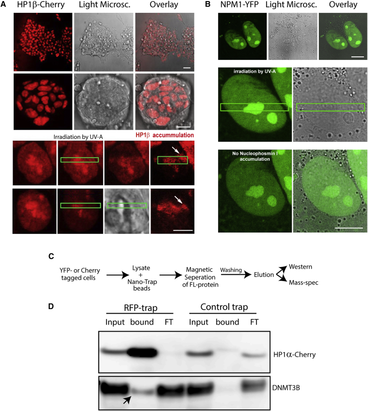 Figure 4