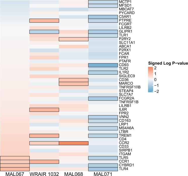 Figure 6—figure supplement 8.