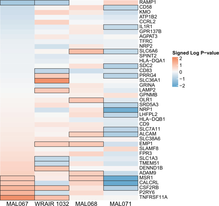 Figure 6—figure supplement 3.