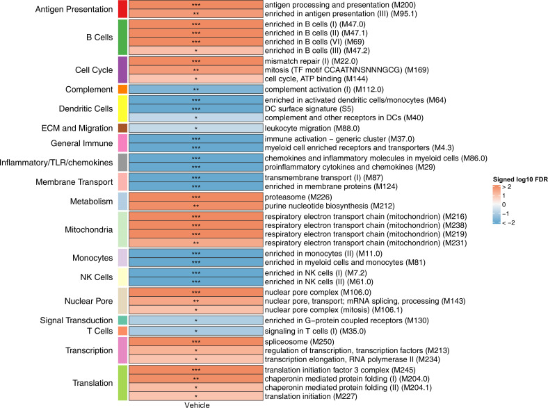 Figure 3—figure supplement 1.