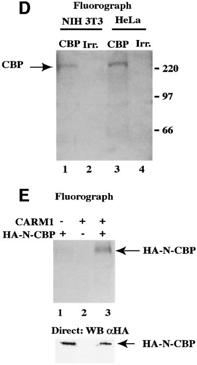 graphic file with name cdf548f1b.jpg