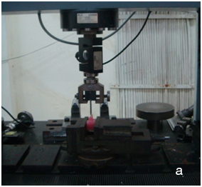 [Table/Fig-11a]: