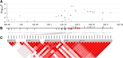 Figure 2