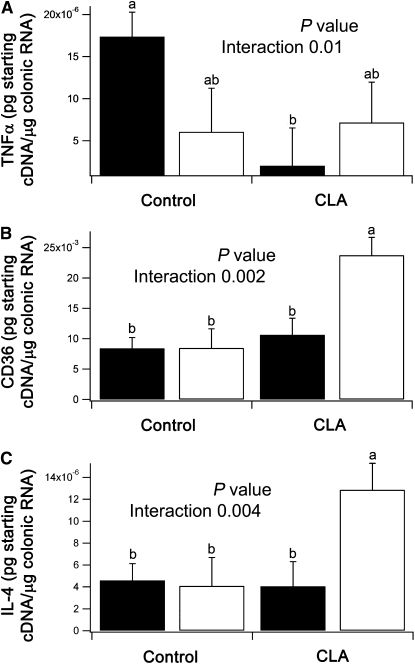 FIGURE 6 