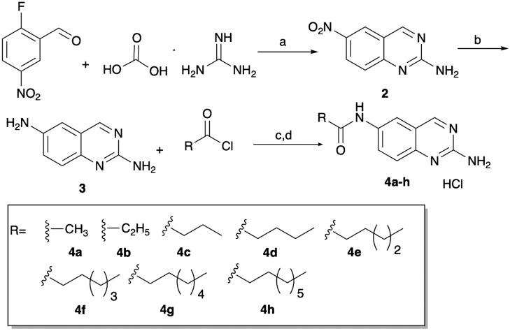 Scheme 1