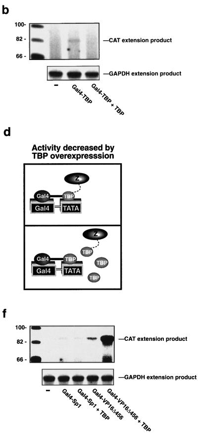 FIG. 1