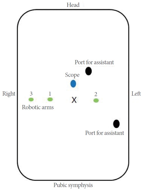 Fig. 1.