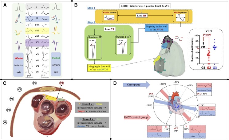 Graphical Abstract