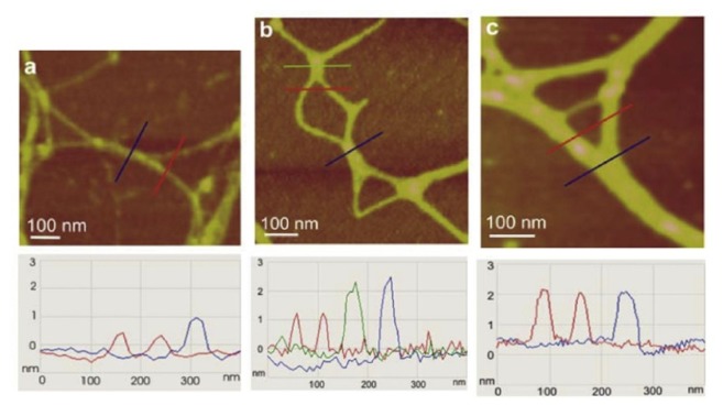 Figure 6