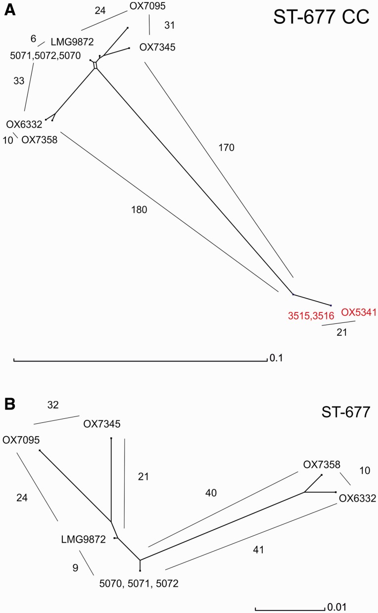 Fig. 2.—