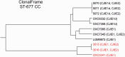 F<sc>ig</sc>. 3.—