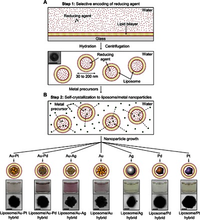 Fig. 1