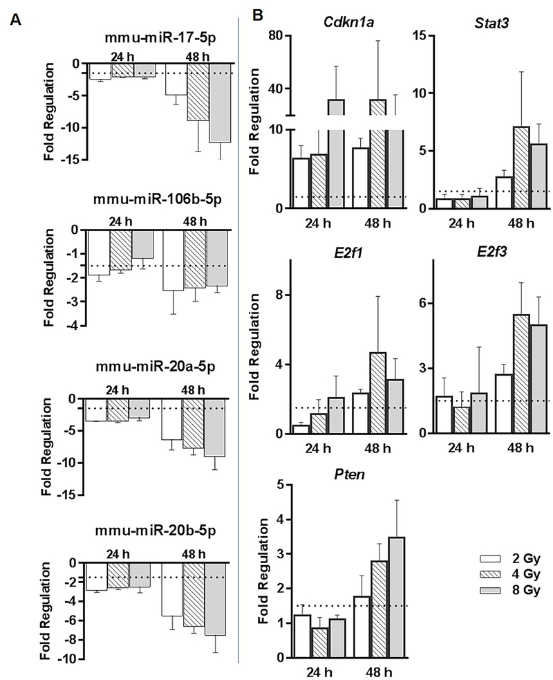 Figure 6: