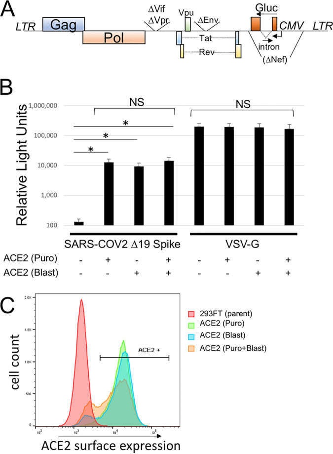 FIG 2