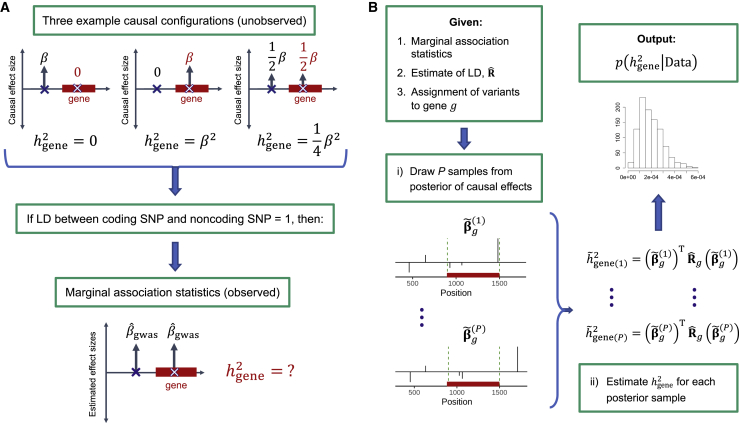 Figure 1