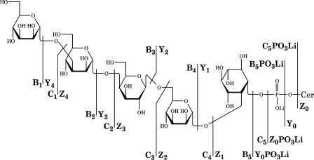 FIG. 3.