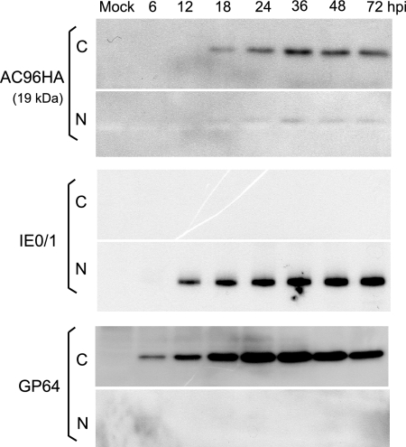 FIG. 6.