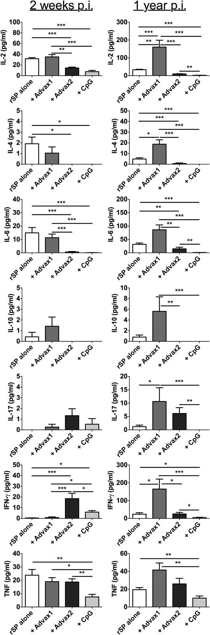 FIG 3